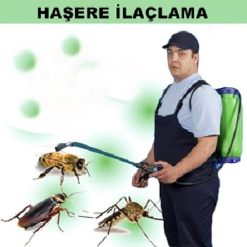 Alaca Böcek İlaçlama